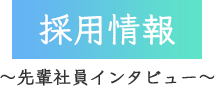 採用情報 先輩社員インタビュー